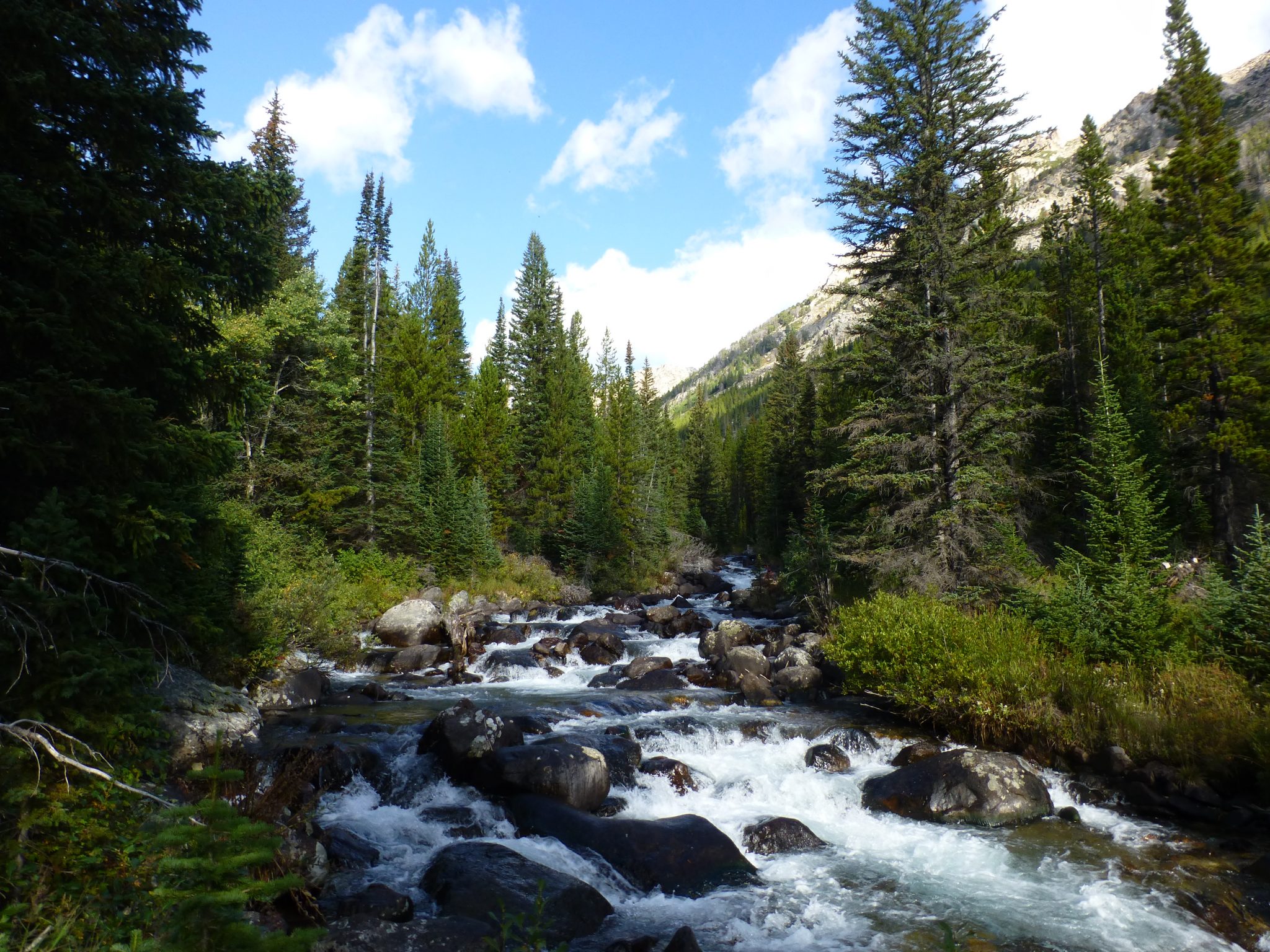 10 Best Trails and Hikes in Red Lodge